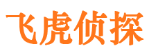 城口外遇调查取证